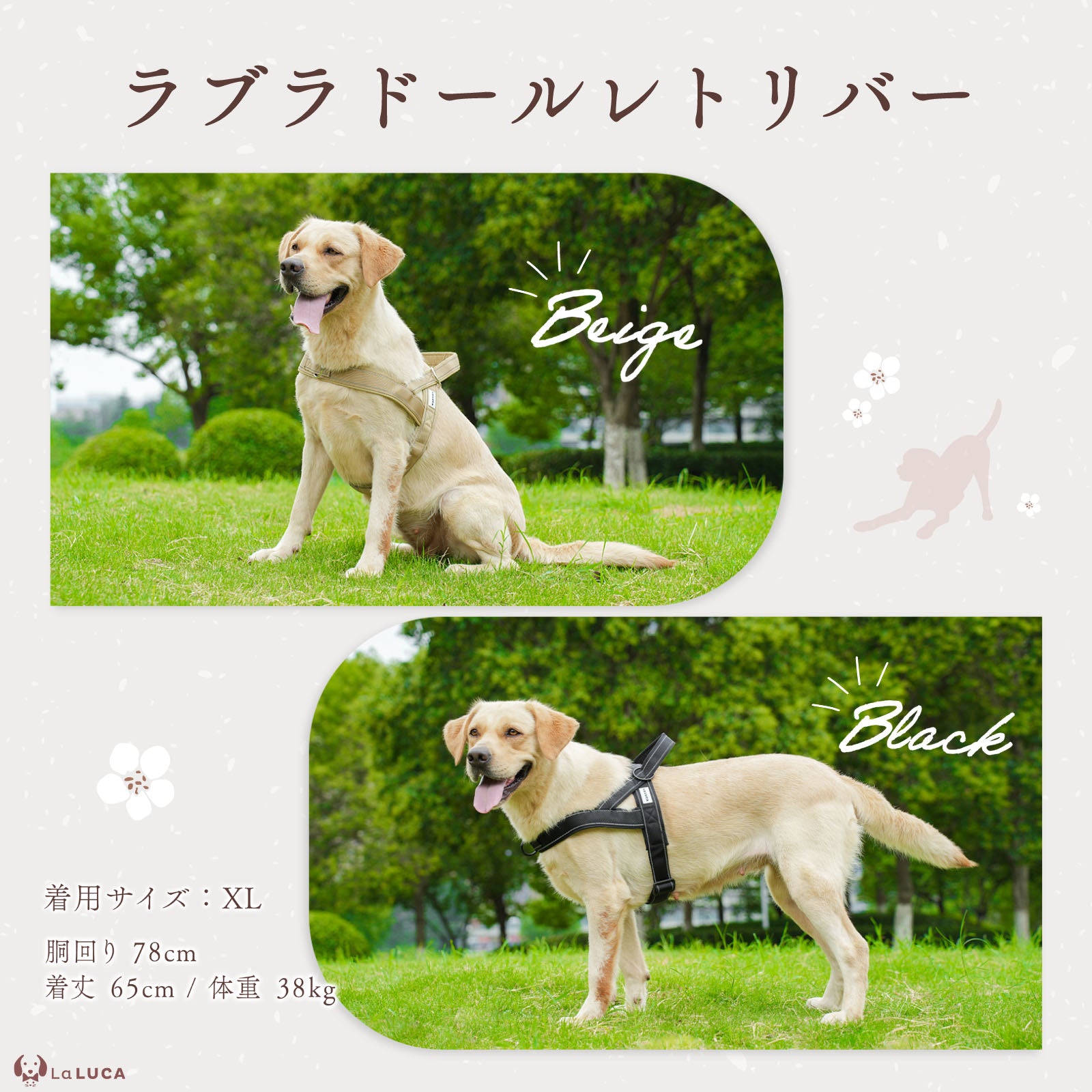 犬 ハーネス 中型犬 大型犬 抜けにくい 抜けない 丈夫 天然素材 おしゃれ かわいい 引っ張り防止 速乾 雨の日 安心 アウトドア 簡単 ロック 胴輪 犬用 介護 お出かけ 散歩 夜間 はーねす 首輪 成犬用 愛犬 リード いぬ ワンちゃん 反射素材