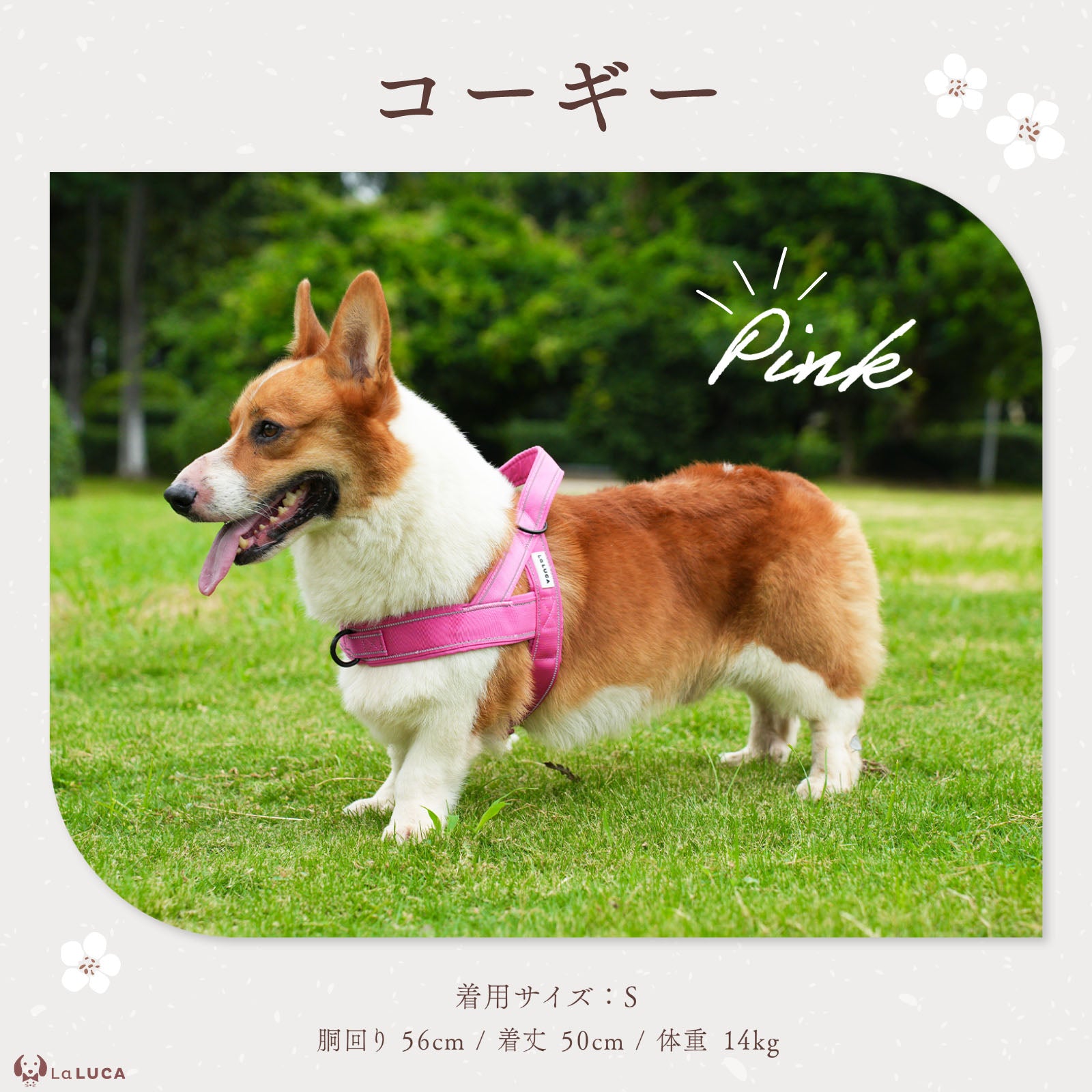 犬 ハーネス 中型犬 大型犬 抜けにくい 抜けない 丈夫 天然素材 おしゃれ かわいい 引っ張り防止 速乾 雨の日 安心 アウトドア 簡単 ロック 胴輪 犬用 介護 お出かけ 散歩 夜間 はーねす 首輪 成犬用 愛犬 リード いぬ ワンちゃん 反射素材