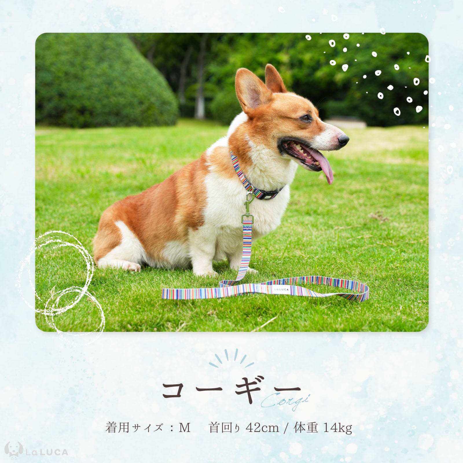 犬 首輪 小型犬 中型犬 大型犬 リード セット おしゃれ 猫 カラフル かわいい イヌ ネコ シンプル 調節自在ベルト ペット リード付き キュート 高品質 定番 スタンダード シンプル かわいいリードセット 水色 おでかけ お洒落 洗える 子犬