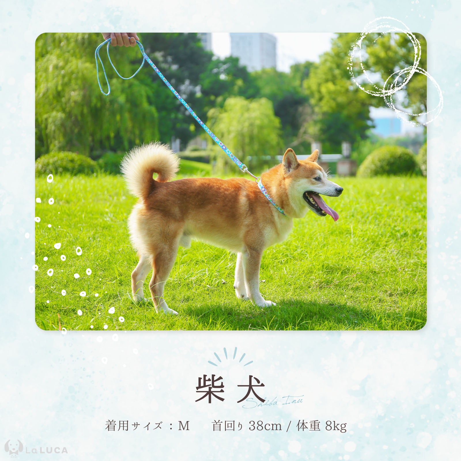犬 首輪 小型犬 中型犬 大型犬 リード セット おしゃれ 猫 カラフル かわいい イヌ ネコ シンプル 調節自在ベルト ペット リード付き キュート 高品質 定番 スタンダード シンプル かわいいリードセット 水色 おでかけ お洒落 洗える 子犬