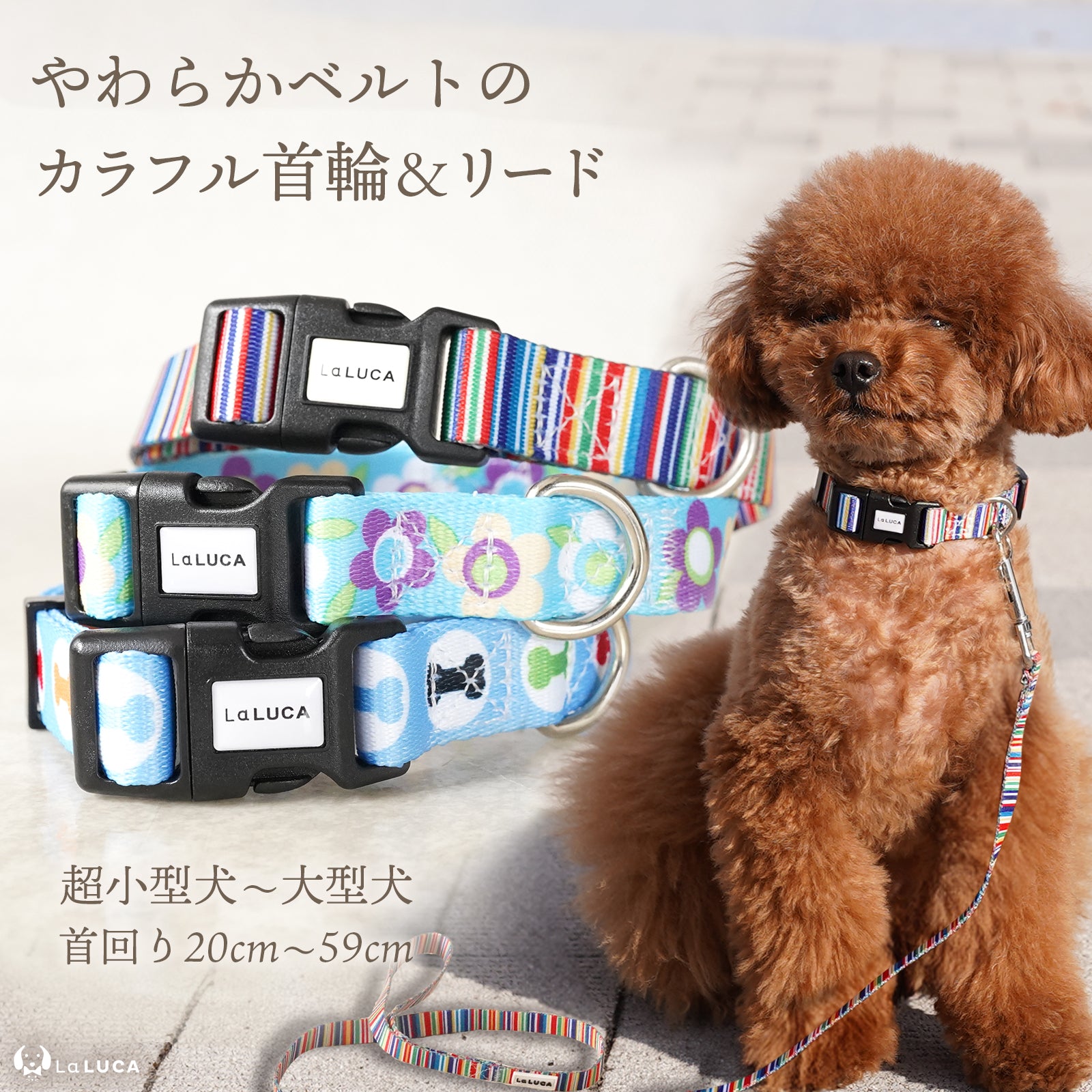 \地上波ドラマで使用されました/ カラフル首輪・リード(単品購入もOK!)