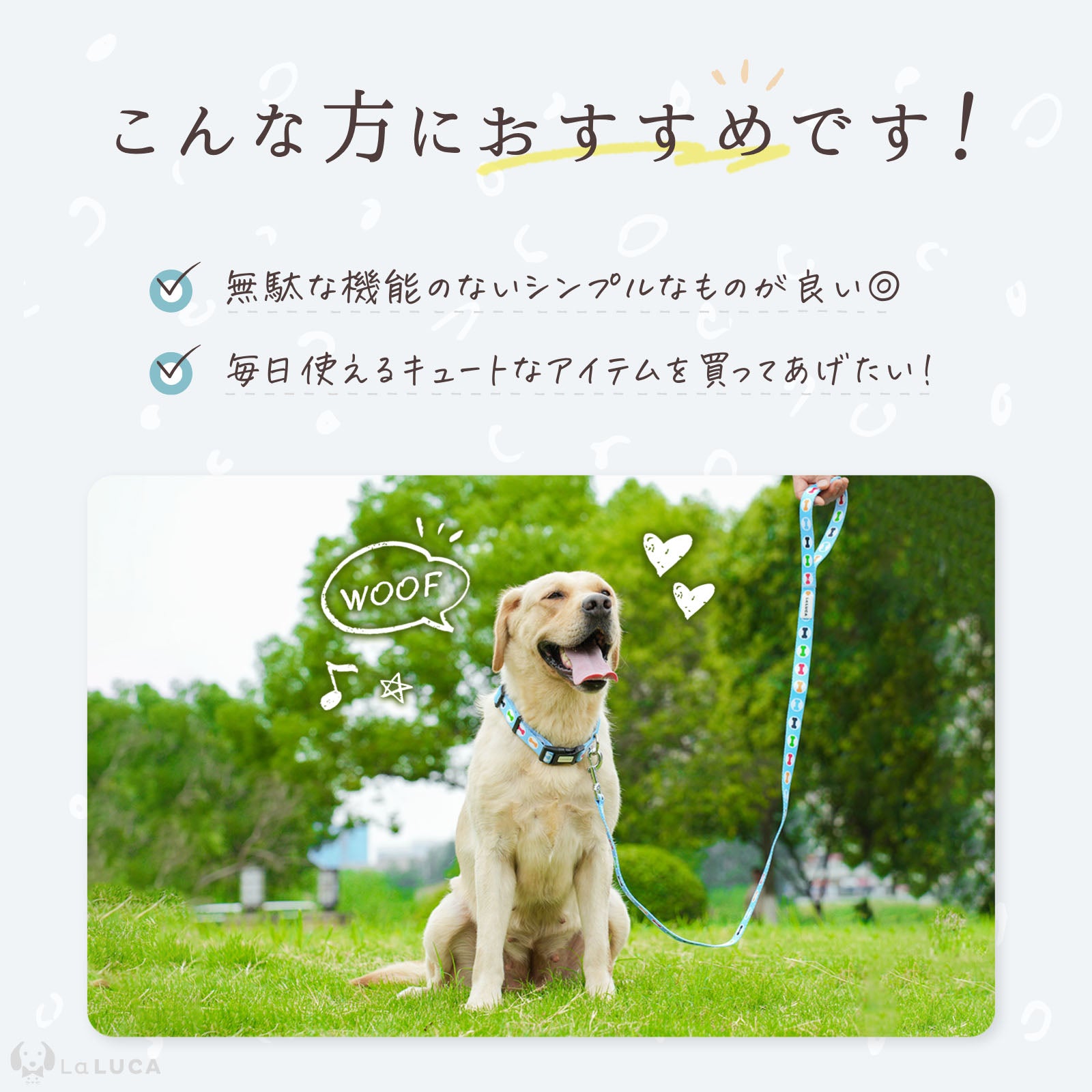 \地上波ドラマで使用されました/ カラフル首輪・リード(単品購入もOK!)