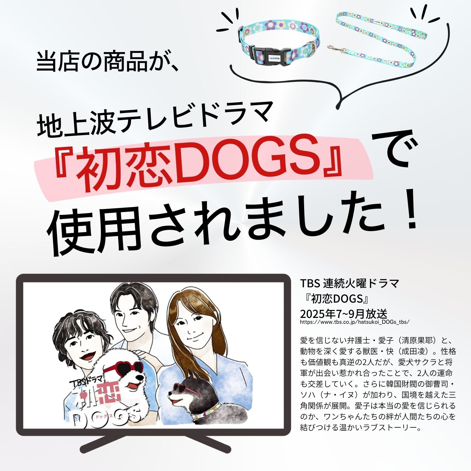 \地上波ドラマで使用されました/ カラフル首輪・リード(単品購入もOK!)