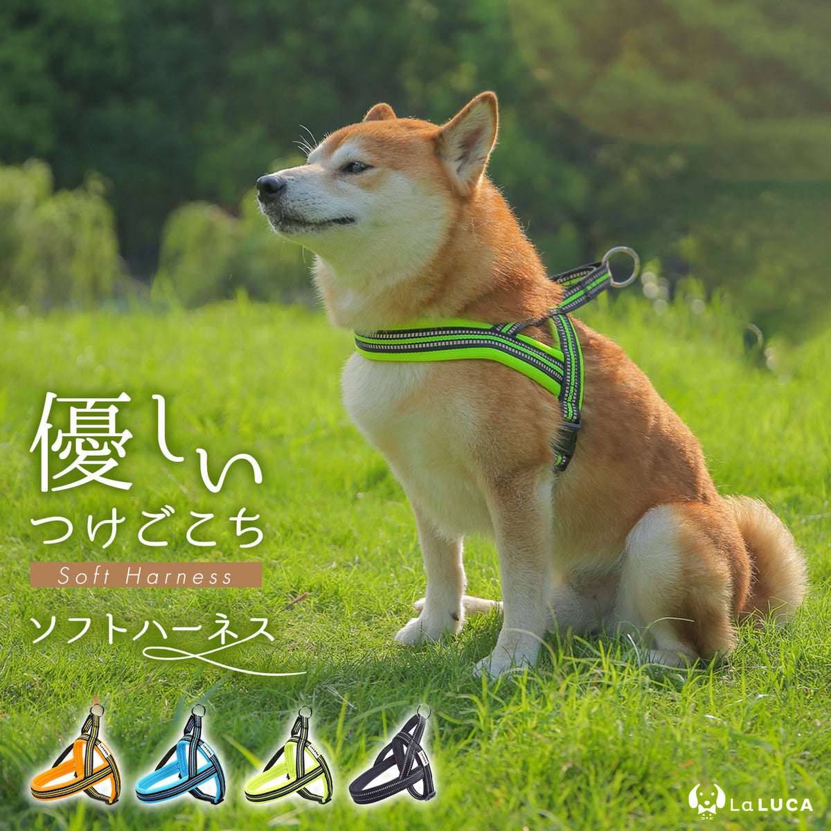 ソフトハーネス