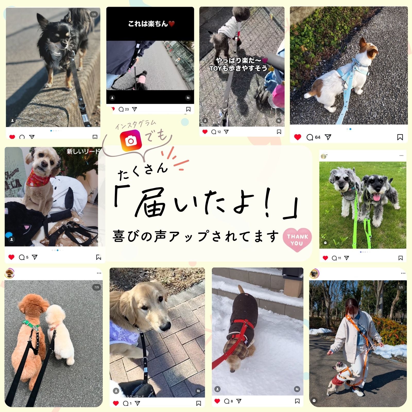 \地上波ドラマで使用されました/ アドバンスモア(ショルダーリード)【専門家監修品】