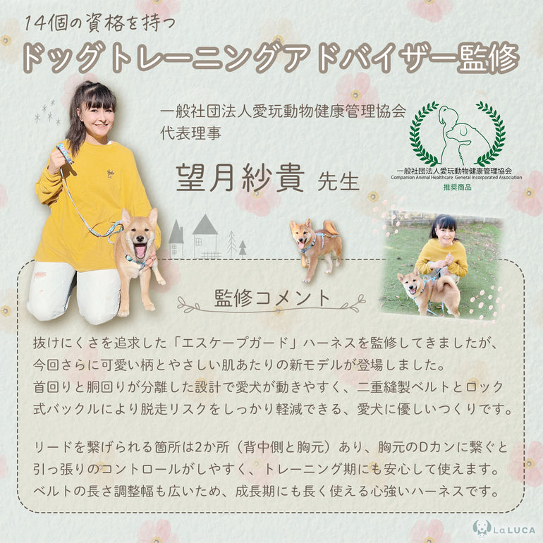 バナー