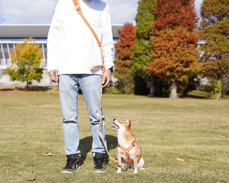 もうリード操作でもたつかない！ショルダーリードで叶える「両手フリー」の快適お散歩