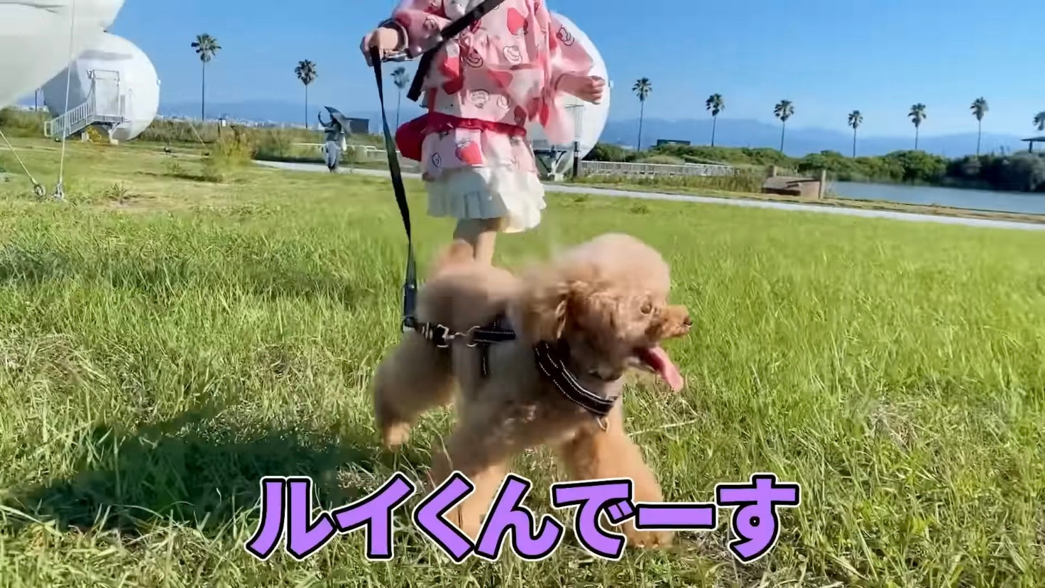 おほしさまちゃんねる様にLaLUCAの商品をご紹介いただきました！