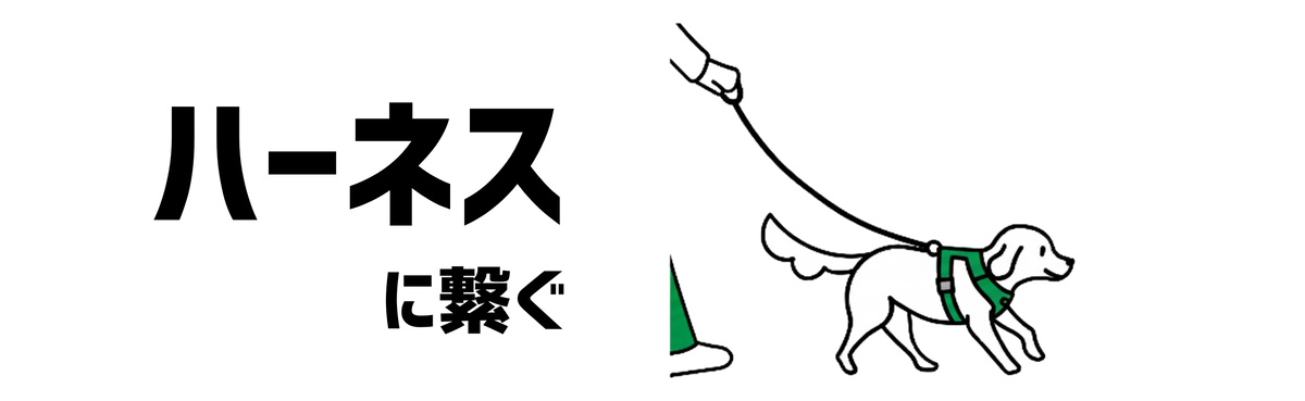 回答画像
