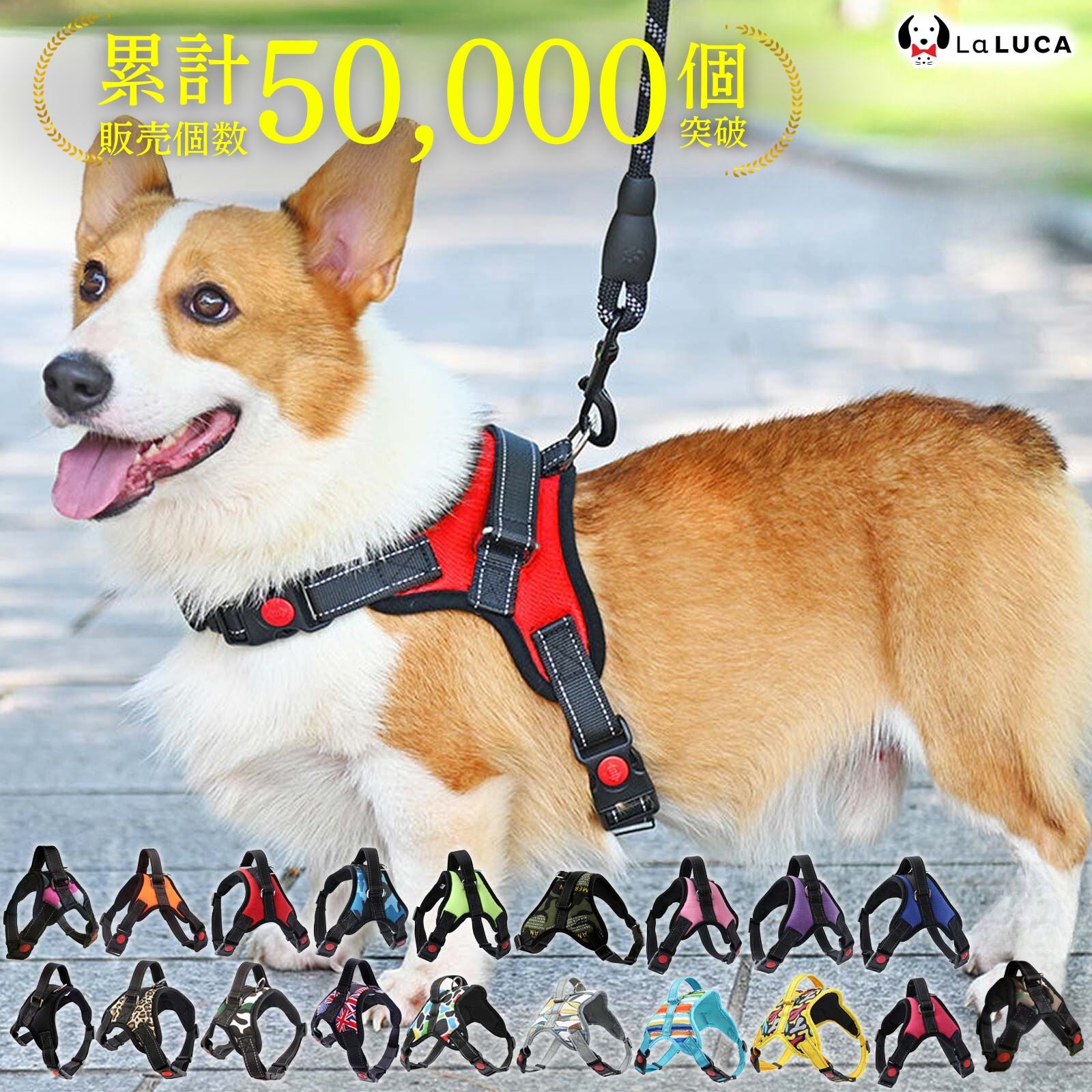 【専門家監修】 ソフトハーネス