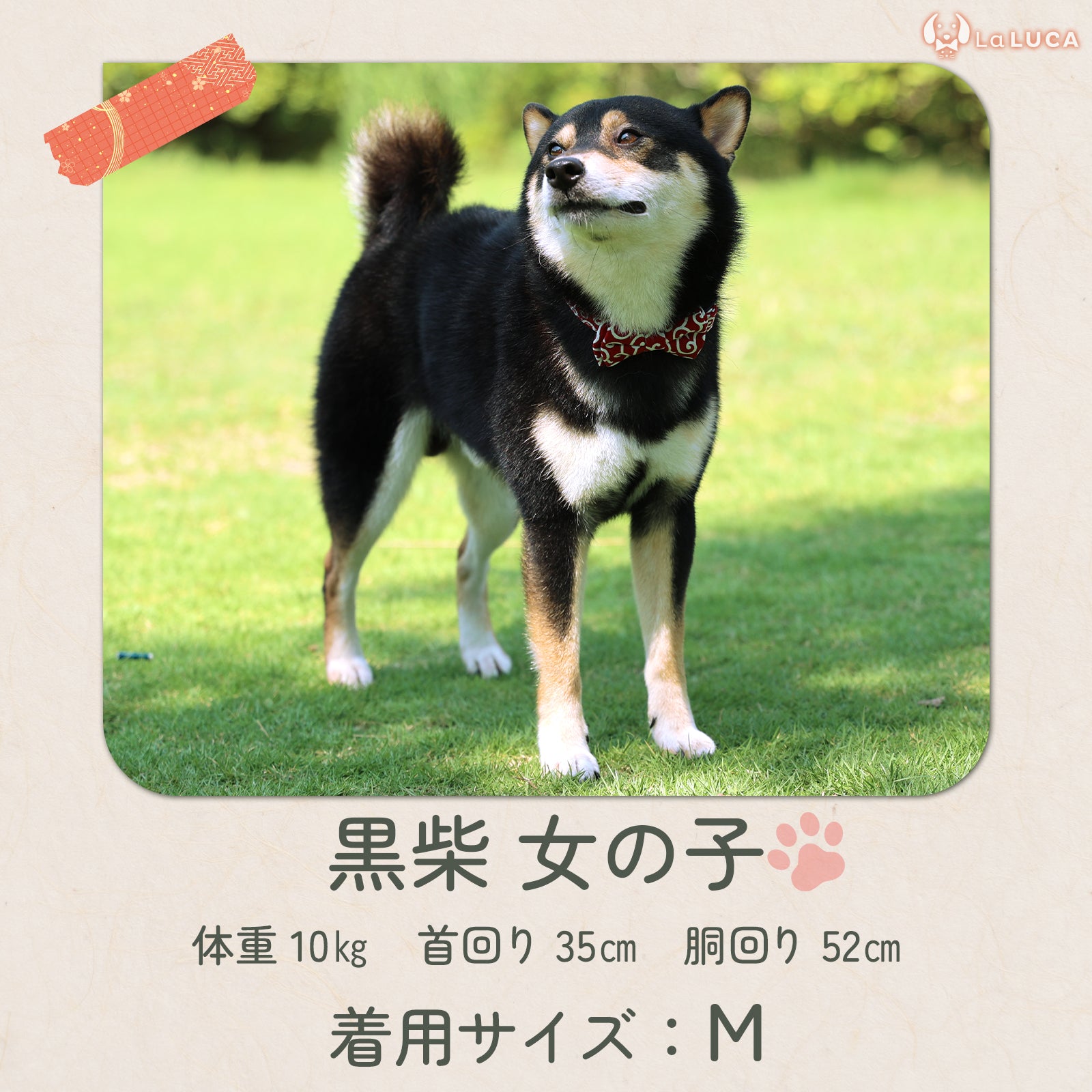 唐草首輪 リード しばおもい