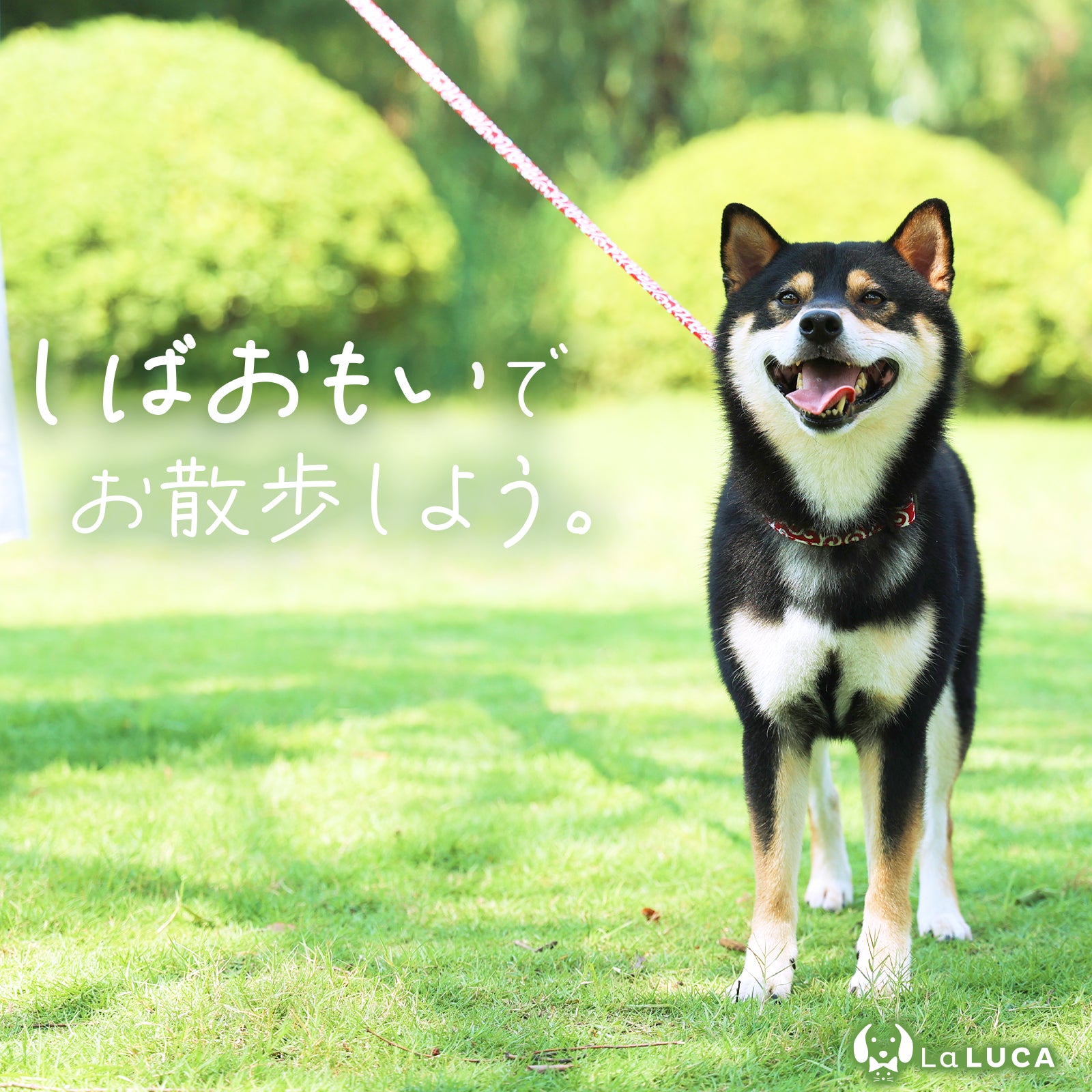 唐草首輪 リード しばおもい