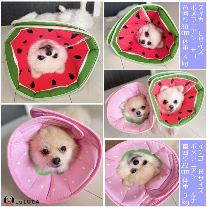【翌日出荷】 【楽天3冠】 エリザベスカラー エリカラ 犬 ソフト 犬 猫 カラー エリカラ ソフトタイプ スイカ ドーナツ イチゴ 布 リバーシブル 手術 怪我 術後 傷口保護 LaLUCA