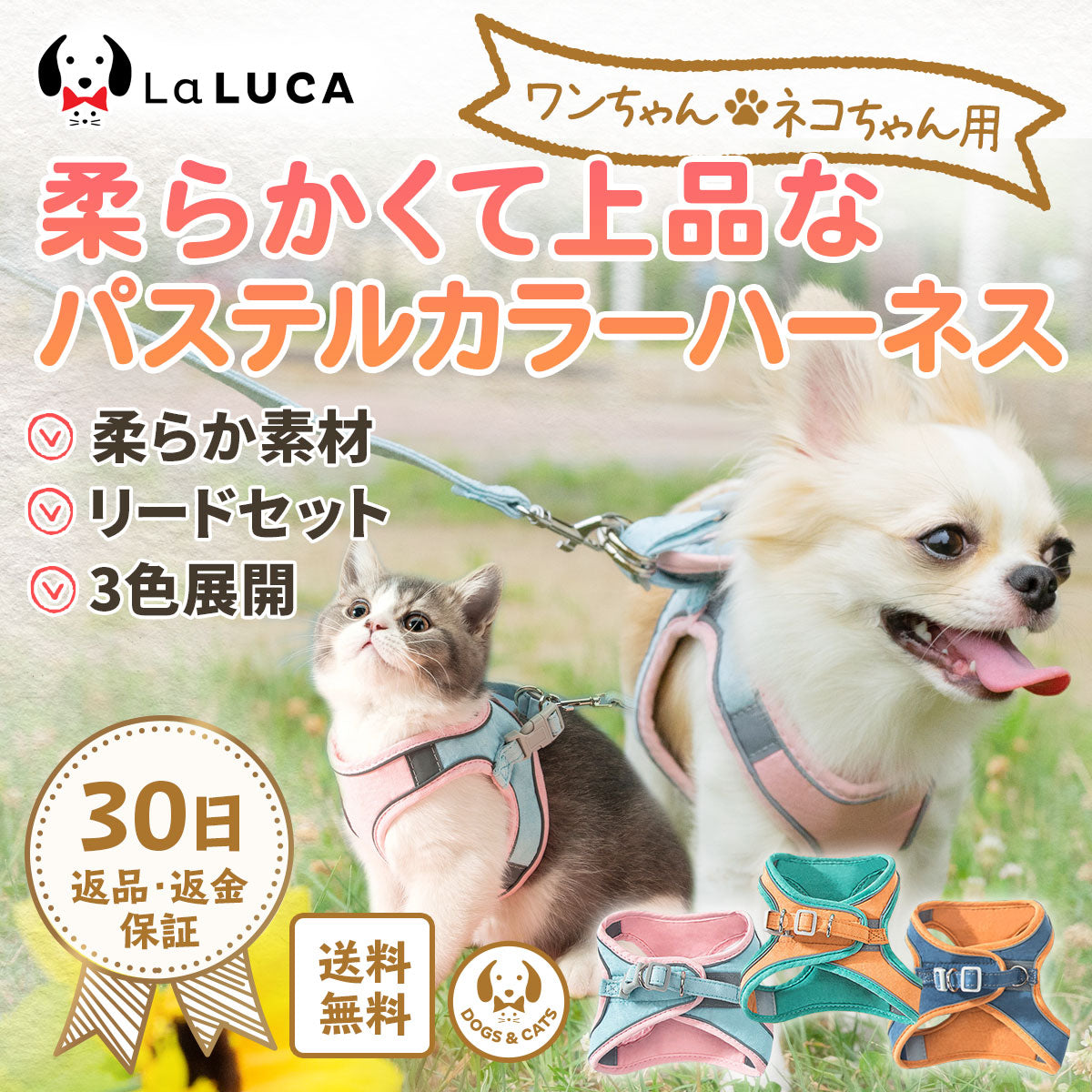 ベルベットハーネス