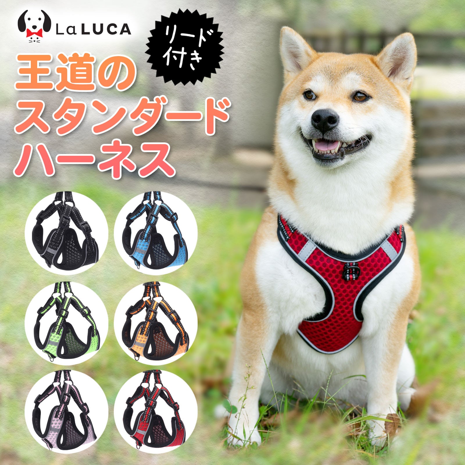 【専門家監修】 スタンダードハーネス