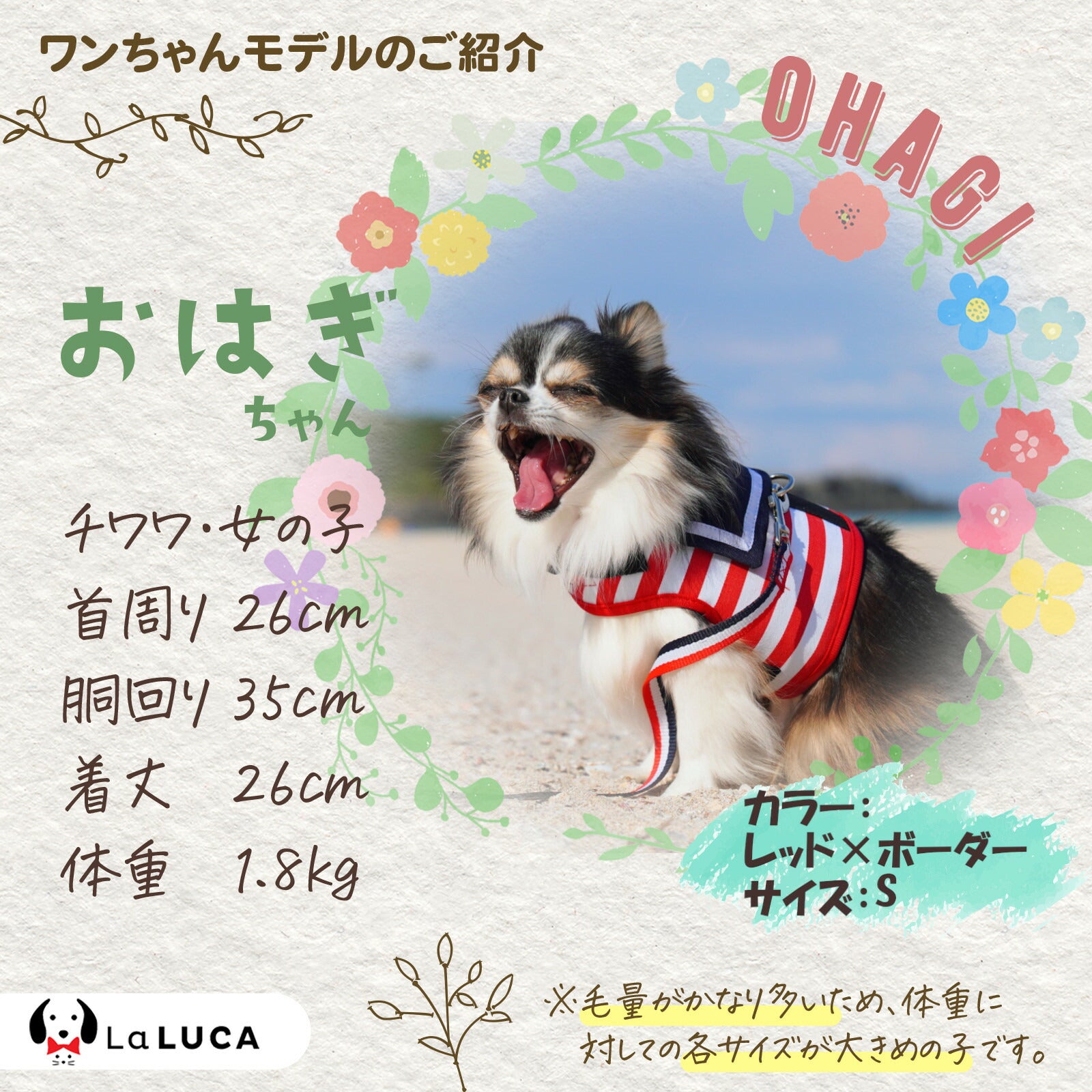 【楽天1位】  犬 ハーネス 小型犬 猫 リードセット 脱げない 散歩 かわいい 胴輪 マリン セーラー服 LaLUCA リード セーラー  ボーダー ブルー 赤 レッド 青 はーねす おでかけ 子犬 洋服 子ネコ 成犬用 こねこ ねこちゃん