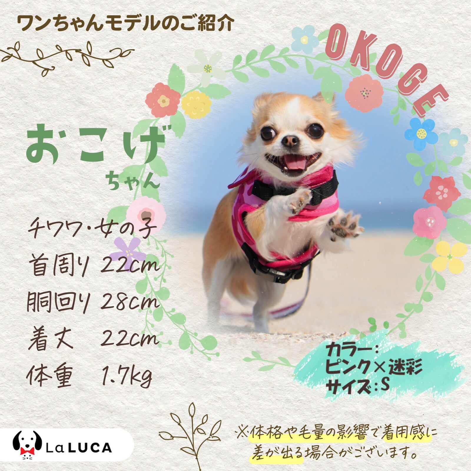 【楽天1位】  犬 ハーネス 小型犬 猫 リードセット 脱げない 散歩 かわいい 胴輪 マリン セーラー服 LaLUCA リード セーラー  ボーダー ブルー 赤 レッド 青 はーねす おでかけ 子犬 洋服 子ネコ 成犬用 こねこ ねこちゃん