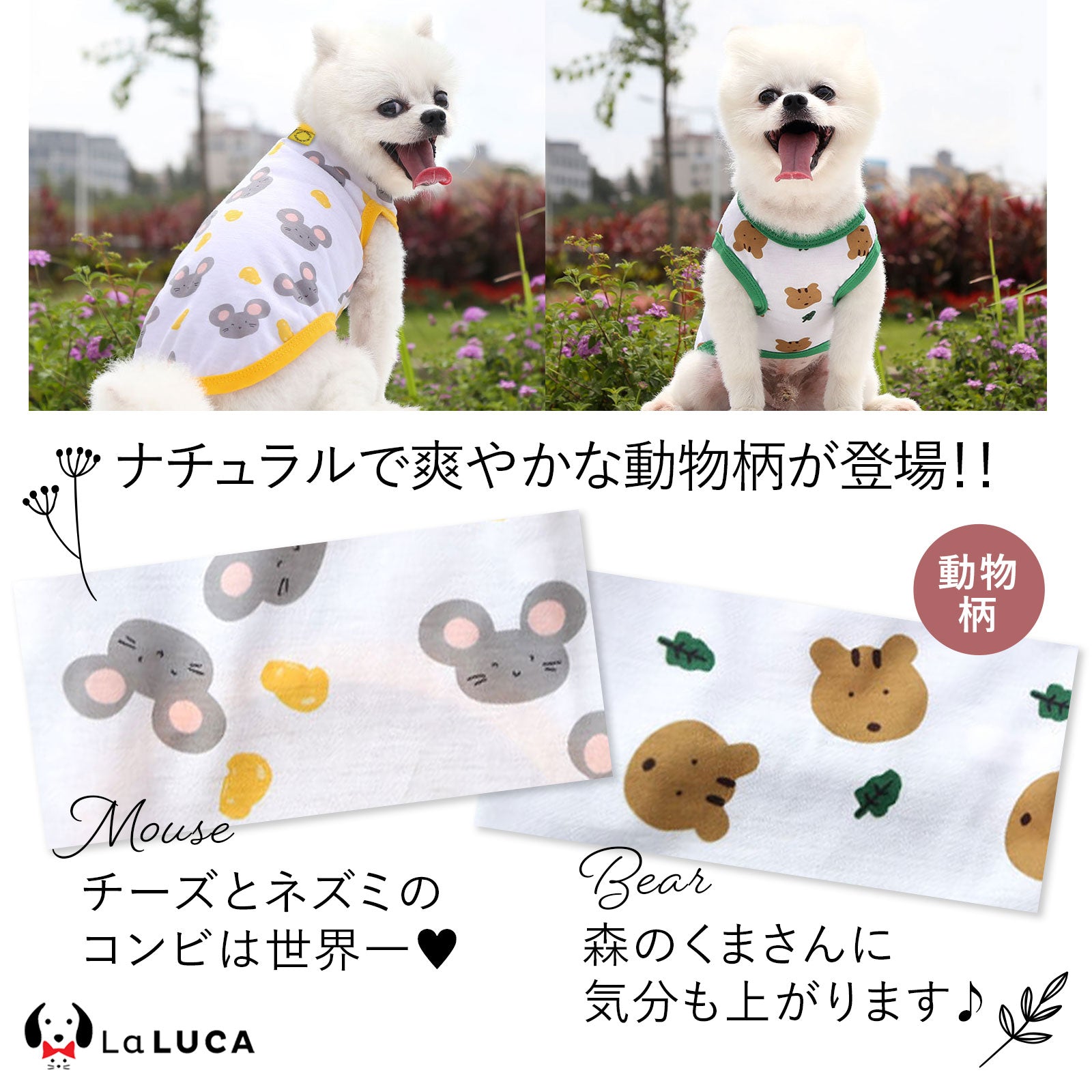かわいい