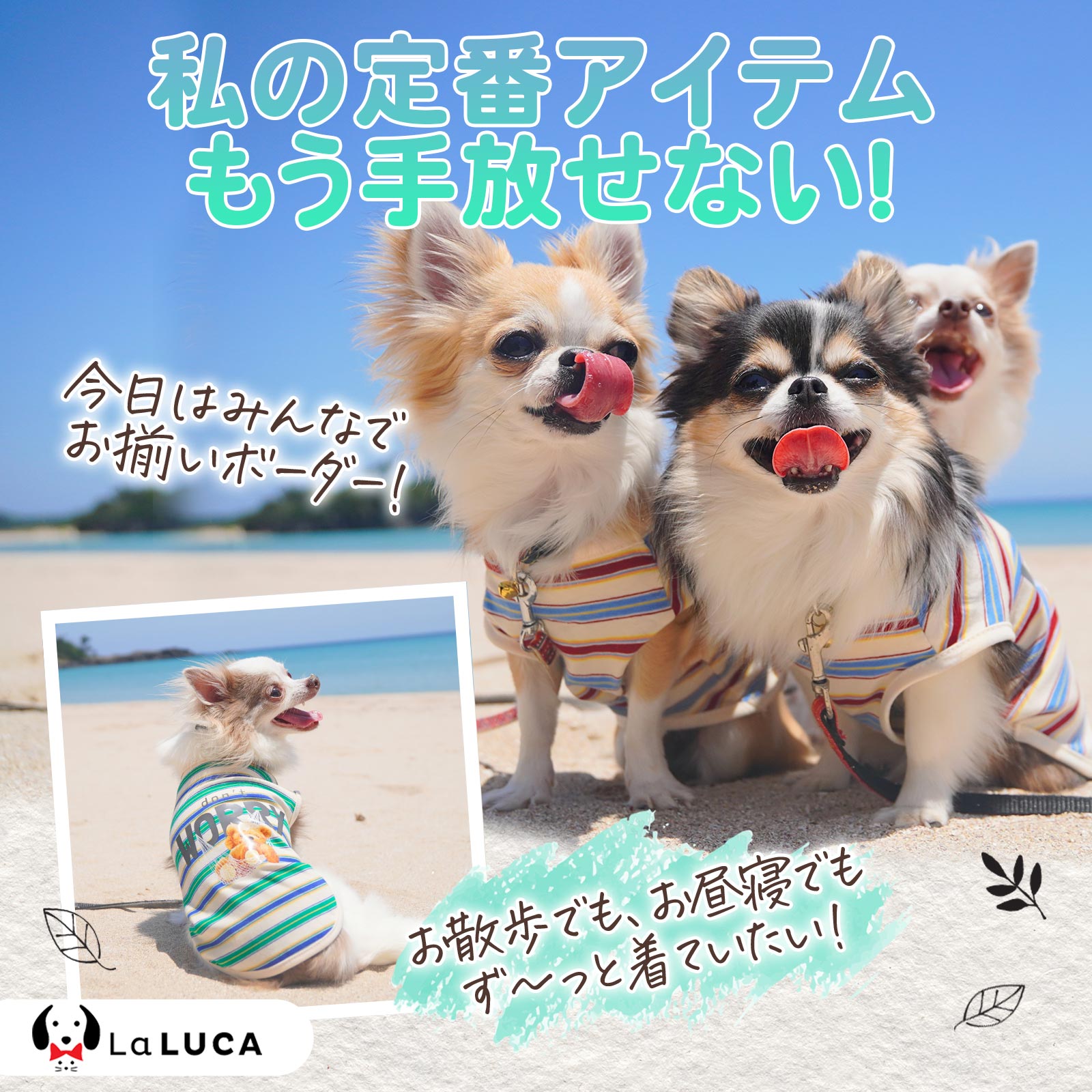 くまさんボーダータンク