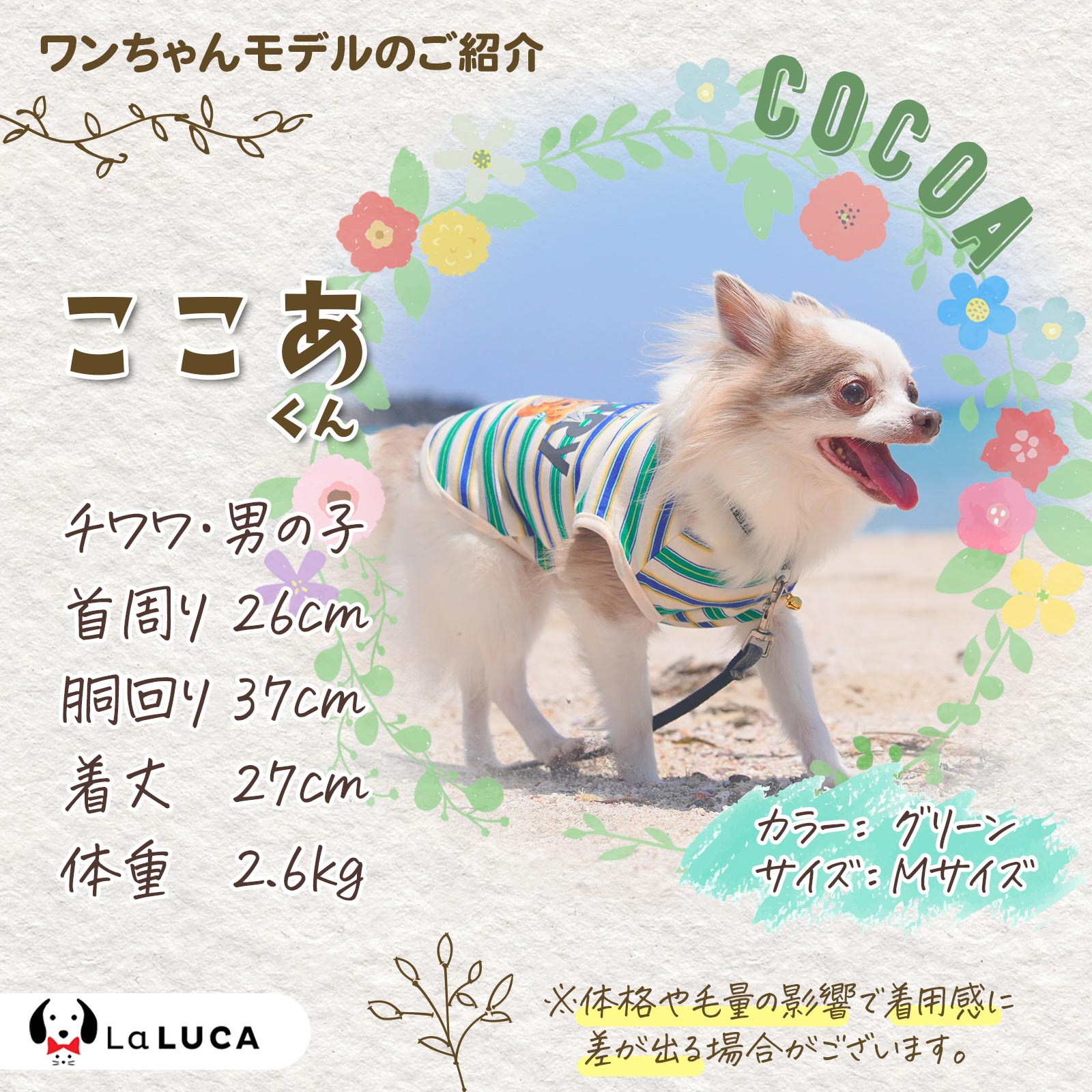 くまさんボーダータンク