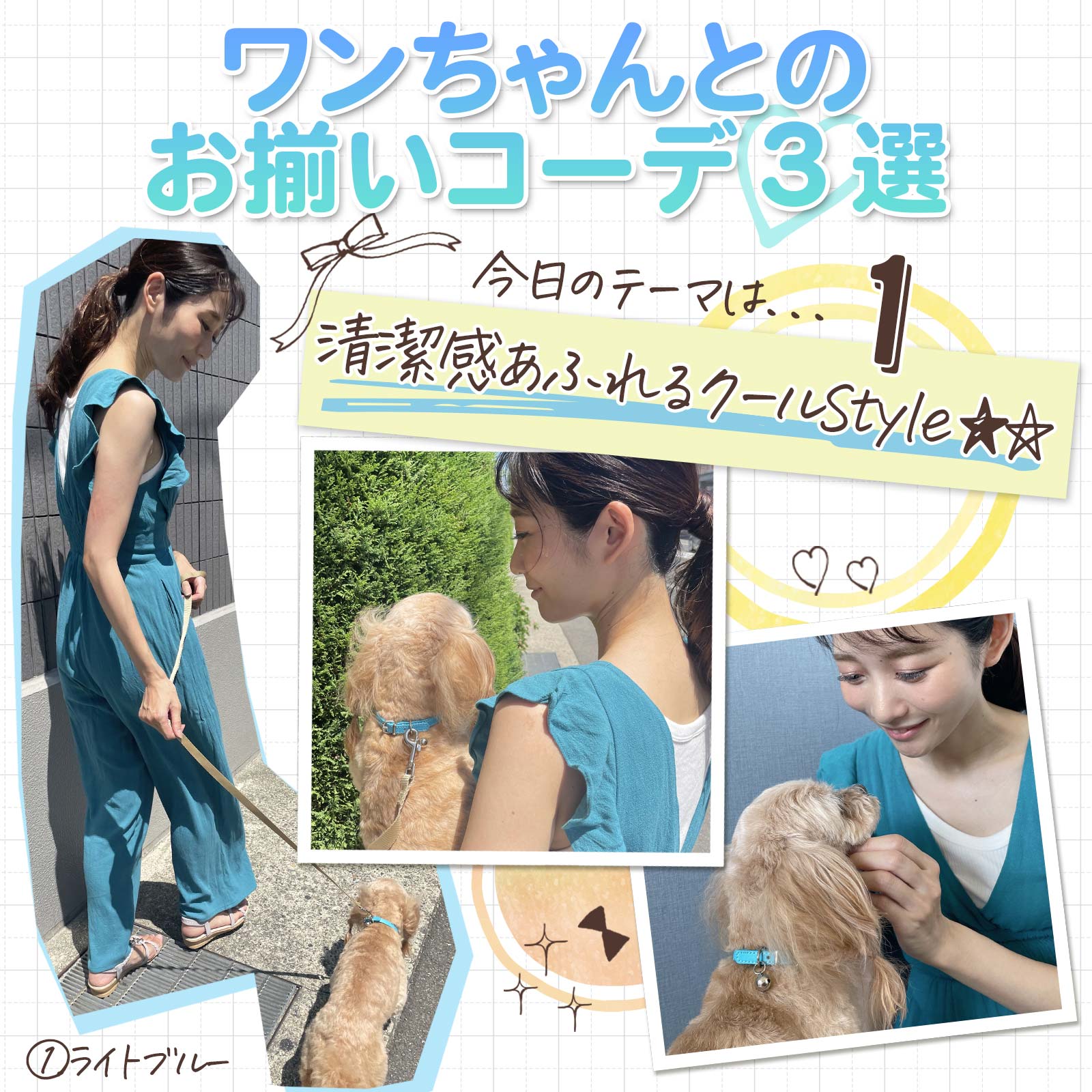 スタンダード