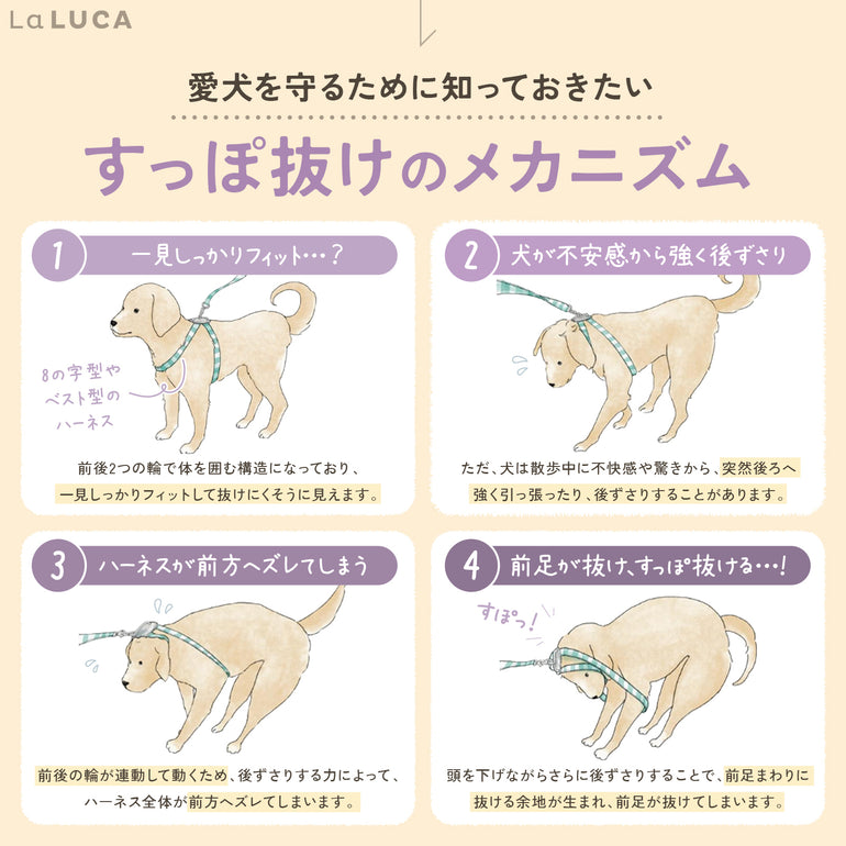バナー