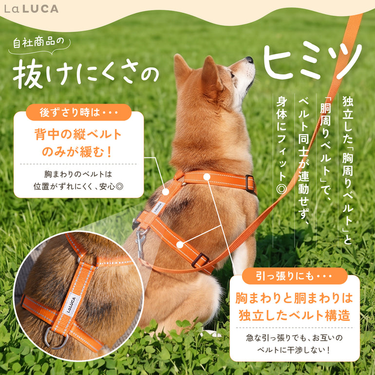 バナー