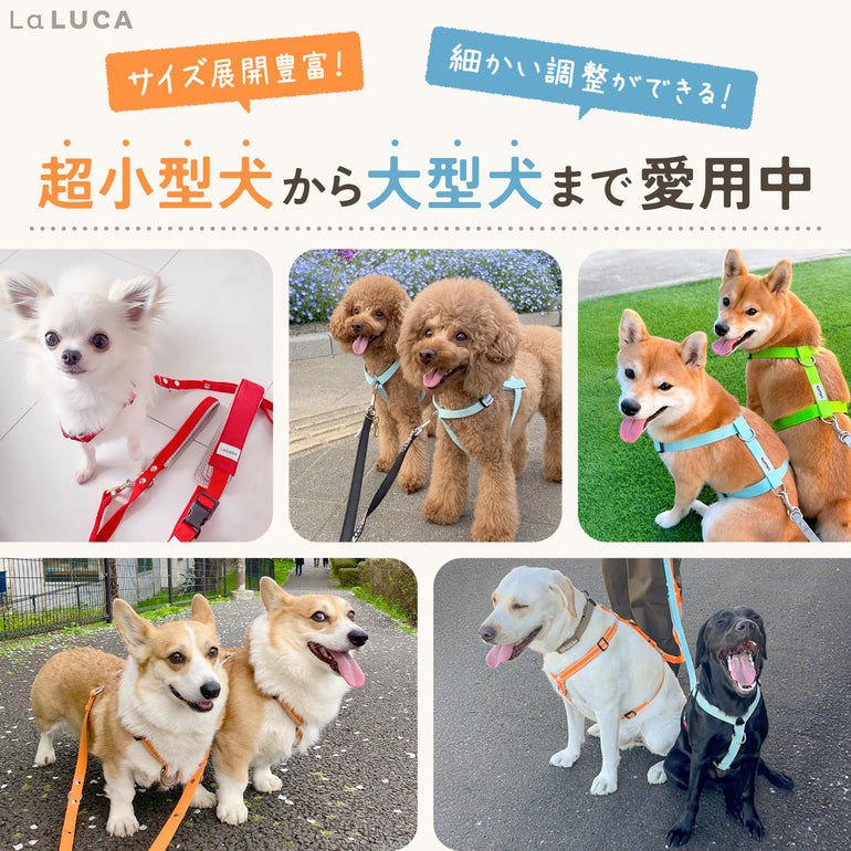 バナー
