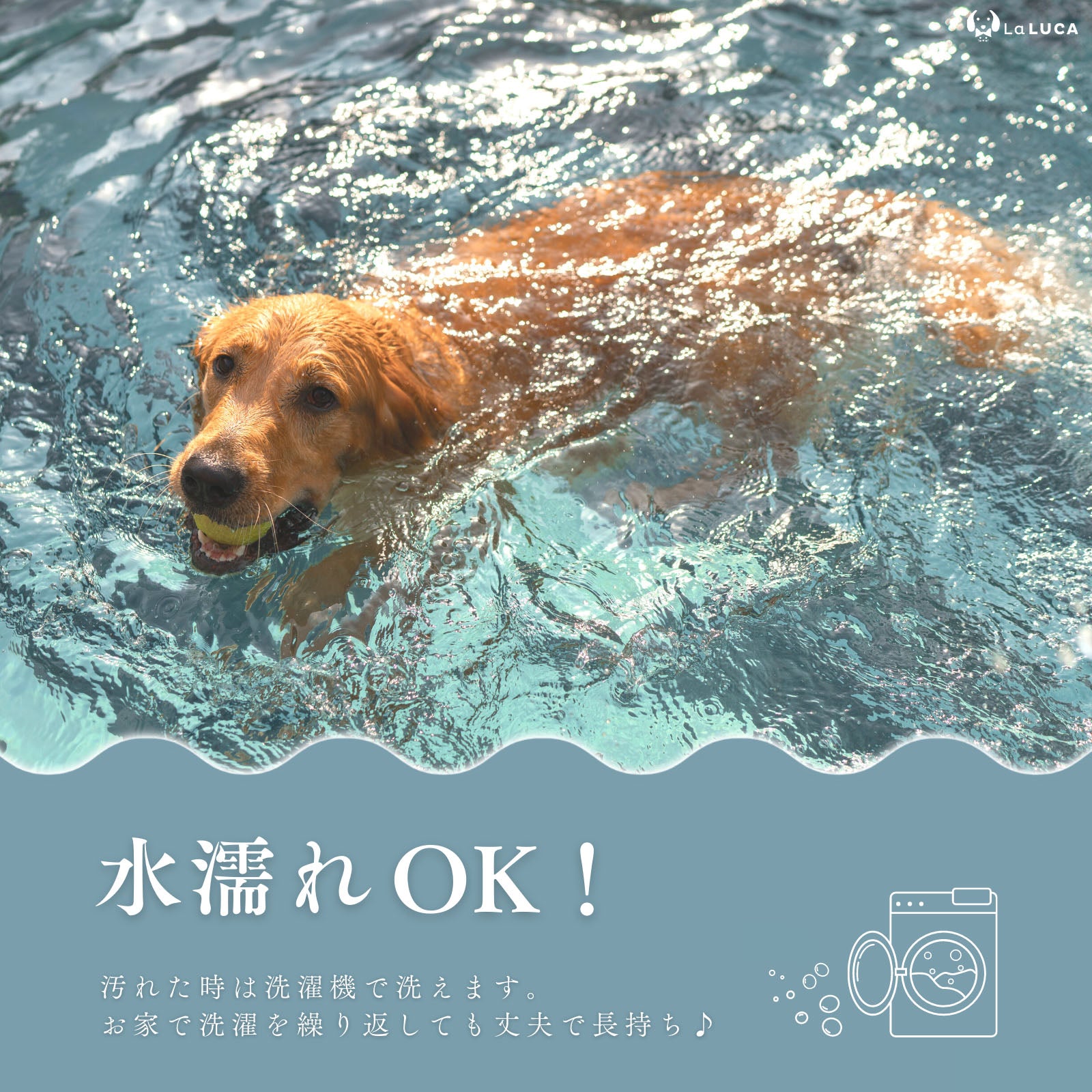 犬 ハーネス 中型犬 大型犬 抜けにくい 抜けない 丈夫 天然素材 おしゃれ かわいい 引っ張り防止 速乾 雨の日 安心 アウトドア 簡単 ロック 胴輪 犬用 介護 お出かけ 散歩 夜間 はーねす 首輪 成犬用 愛犬 リード いぬ ワンちゃん 反射素材
