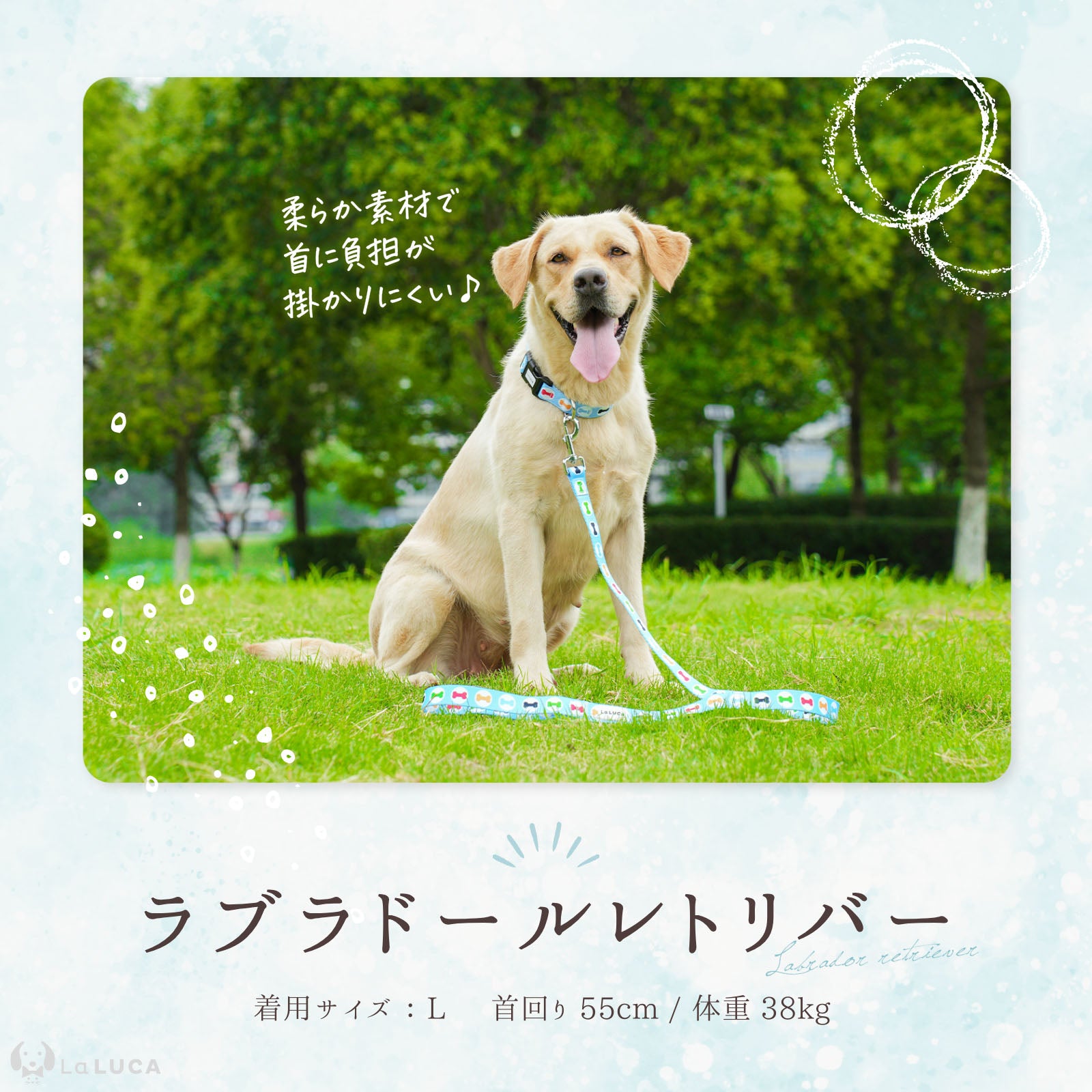 犬 首輪 小型犬 中型犬 大型犬 リード セット おしゃれ 猫 カラフル かわいい イヌ ネコ シンプル 調節自在ベルト ペット リード付き キュート 高品質  定番 スタンダード シンプル かわいいリードセット 水色 おでかけ お洒落 洗える 子犬