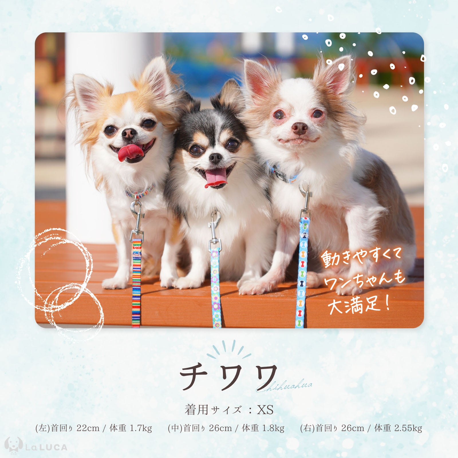 ＼地上波ドラマで使用されました／ カラフル首輪・リード（単品購入もOK！）