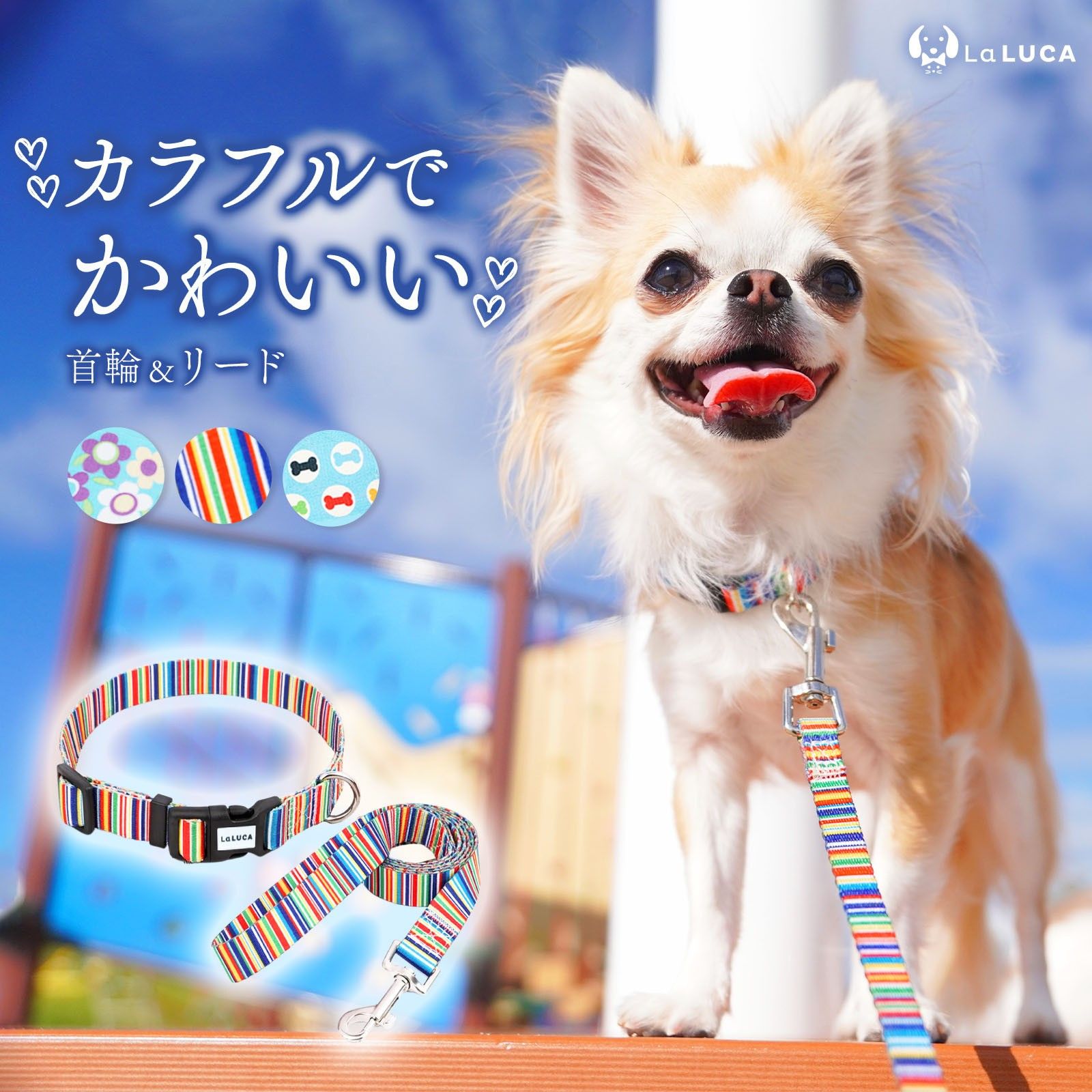＼地上波ドラマで使用されました／ カラフル首輪・リード（単品購入もOK！）