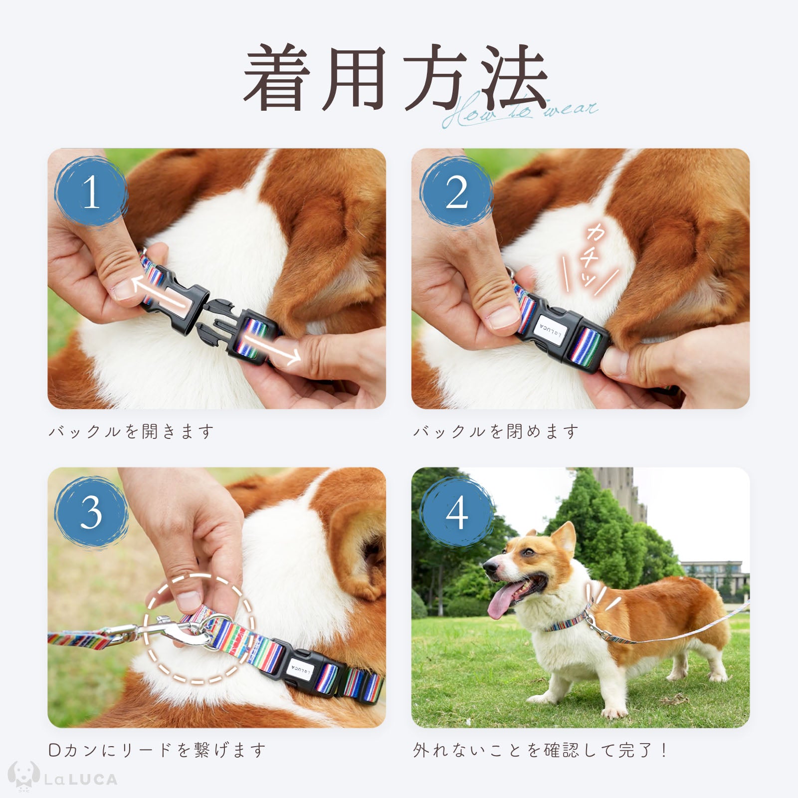 ＼地上波ドラマで使用されました／ カラフル首輪・リード（単品購入もOK！）