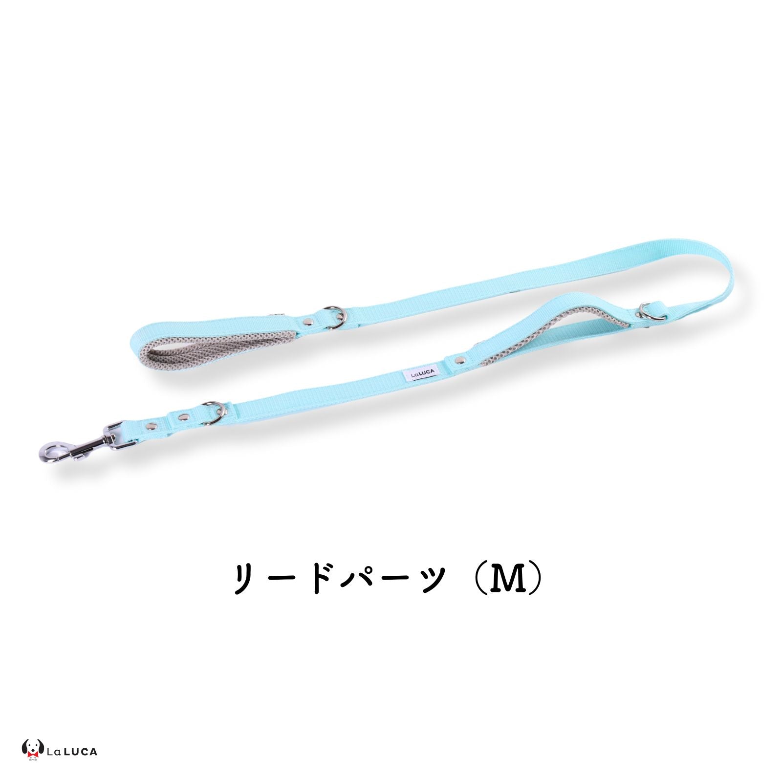 アドバンスモア 01モデル (ショルダーリード)