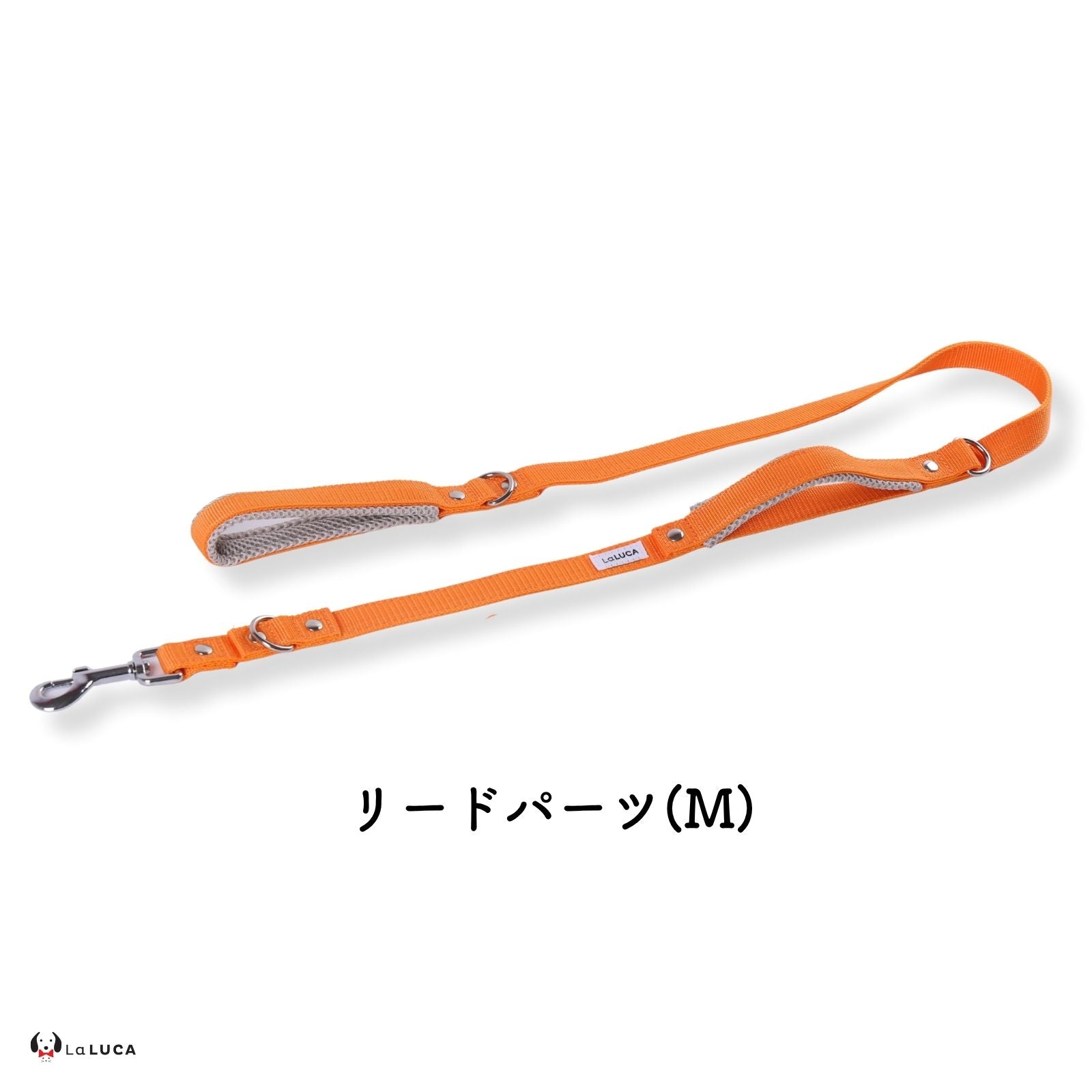 アドバンスモア 01モデル (ショルダーリード)