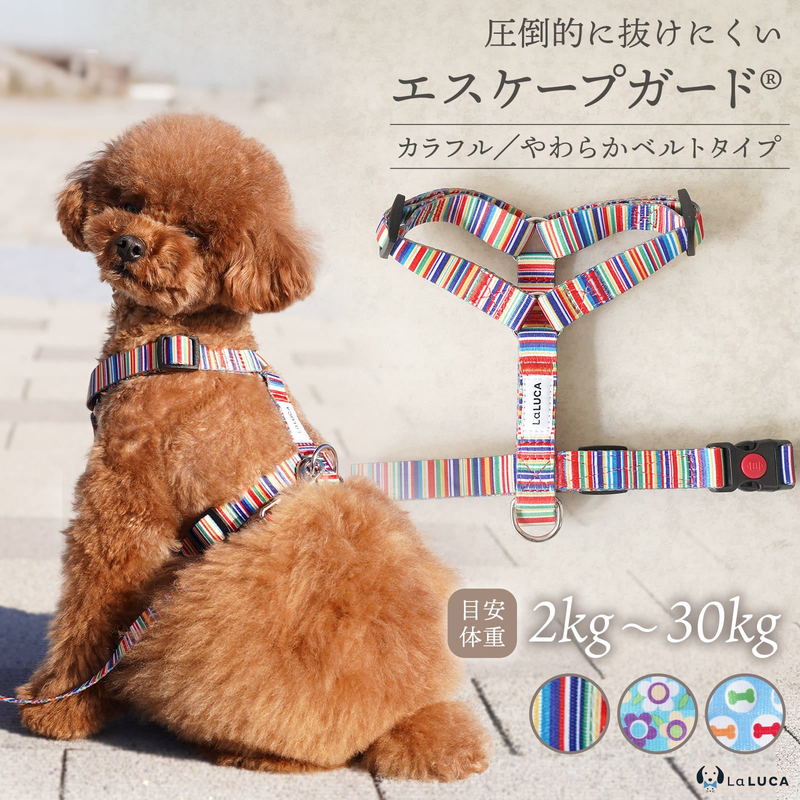 引っ張り防止 犬用ハーネス リード付き Sサイズ カラフル カラフルハーネス＆リード