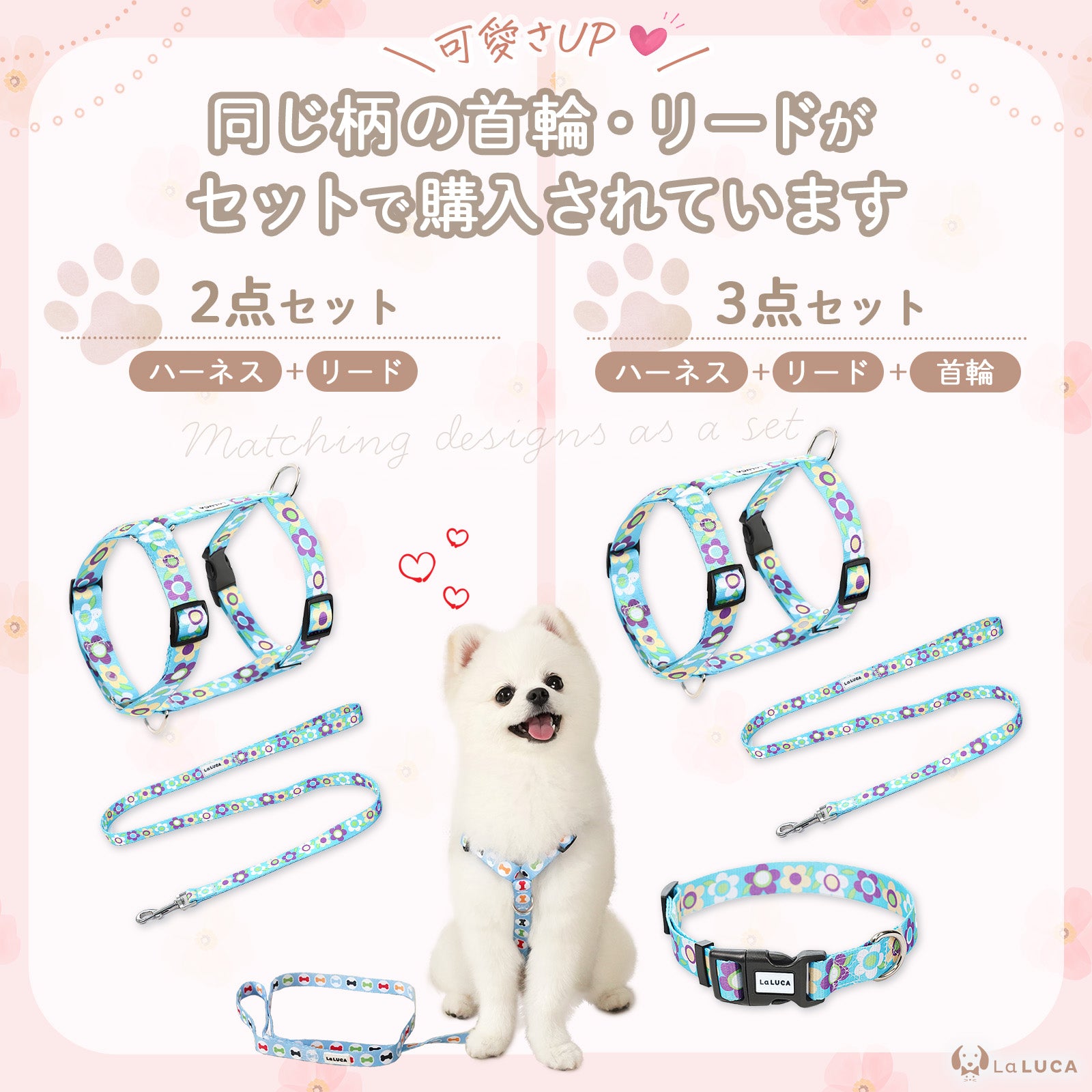 カラフルハーネス＆リード
