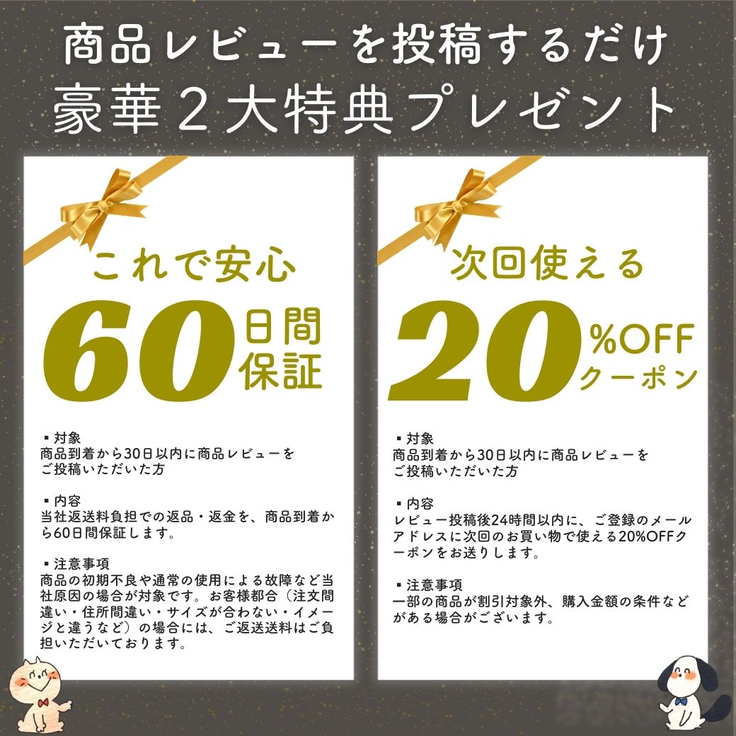 ＼地上波ドラマで使用されました／ カラフル首輪・リード（単品購入もOK！）