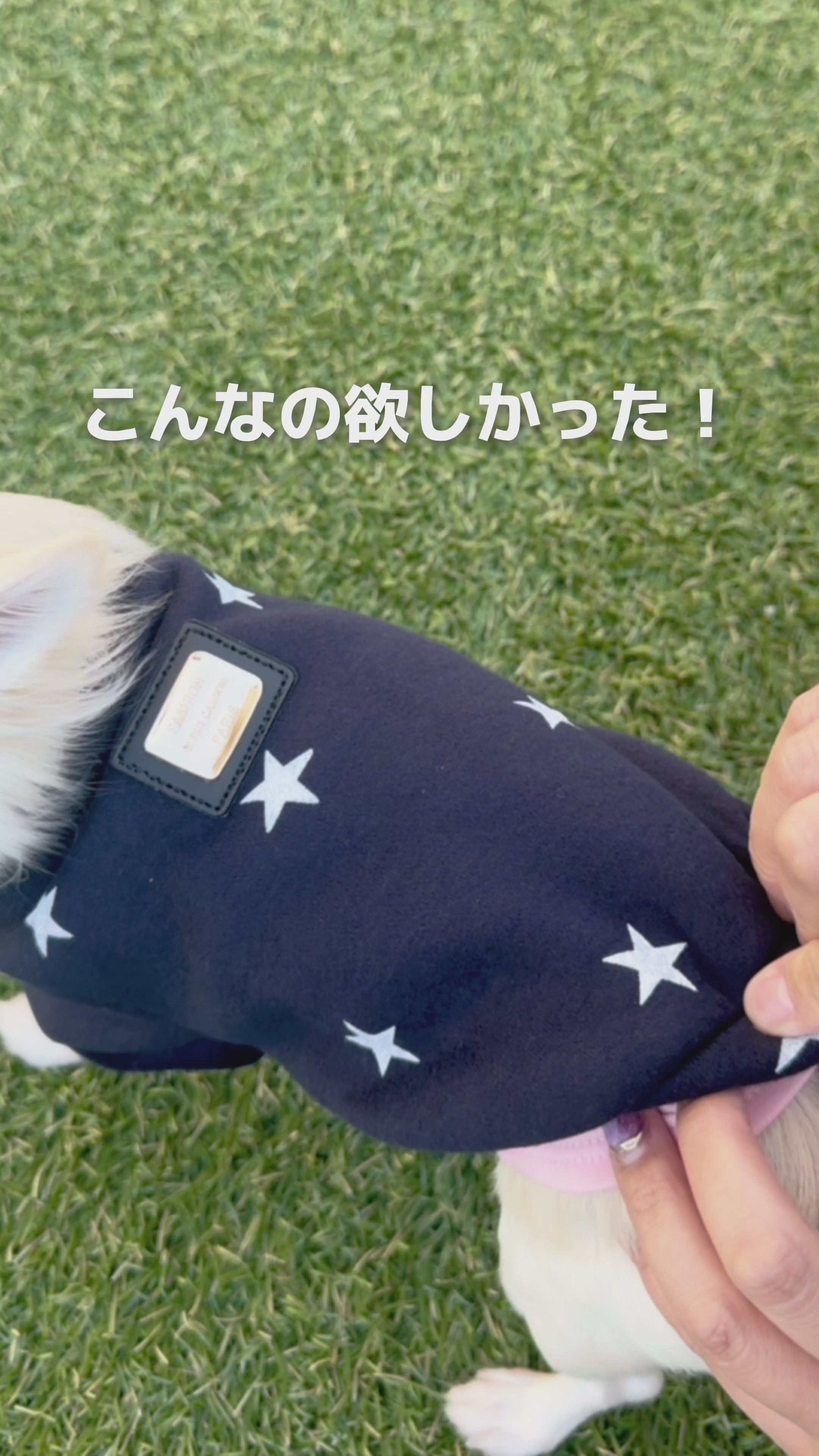 シンプルタンク