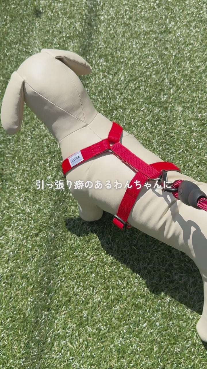 専門家監修】 ふわふわ頑丈リード